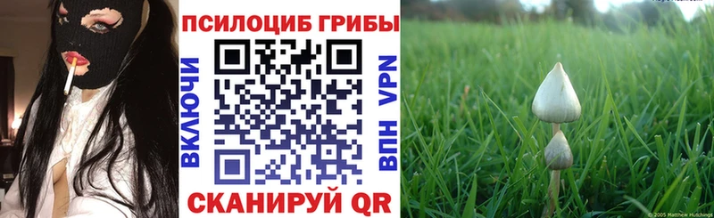 OMG рабочий сайт  Жуковка  Галлюциногенные грибы мухоморы 