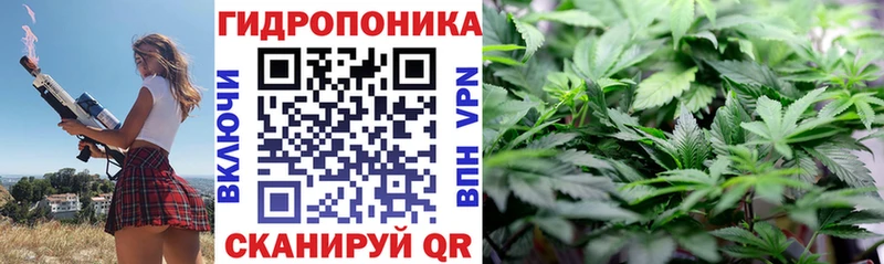 сколько стоит  Жуковка  Шишки марихуана VHQ 